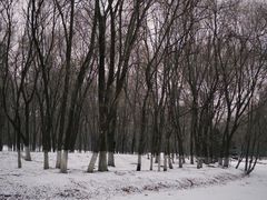 -长白岛森林公园