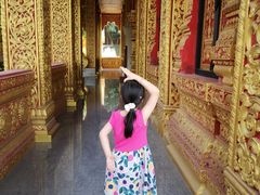 -西双版纳勐泐文化旅游区