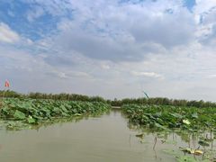 -焦岗湖旅游度假区
