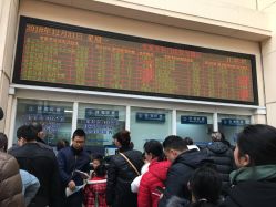 -上海交通大学医学院附属上海儿童医学中心(陆家嘴总院区)