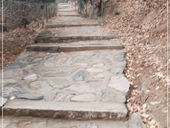 -北京鹫峰国家森林公园