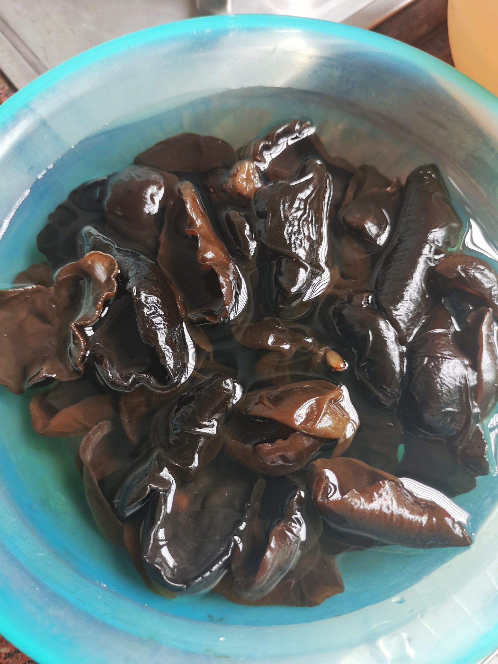 \\n\\n发个网上关于木耳的知识～\\n木耳又叫云耳桑耳