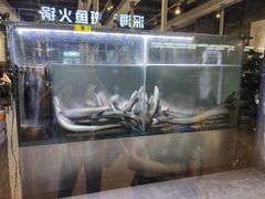 -本炙炭烤·蒲烧活鳗料理店(金沙洲店)