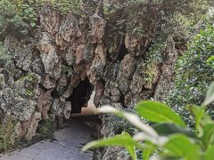 -华雅花园大酒店