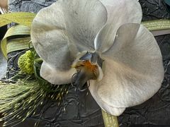 -Flower in(密渡桥店)