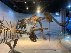 -辽宁古生物博物馆