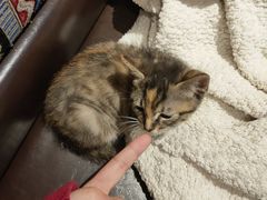 -疆里疆外·和田烤肉·清真