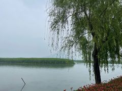 -苏州太湖国家湿地公园
