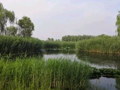 -大兴滨河森林公园