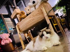 -咖法森林·咖啡  酒吧(天河店)