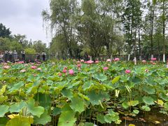 -沐仙湖湿地公园