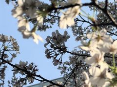 -星湖街(地铁站)