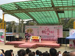 -松山湖梦幻百花洲