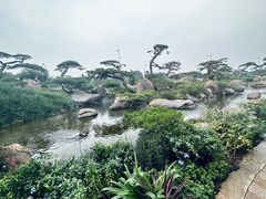 -罗红摄影艺术馆