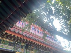 -莲池书院博物馆
