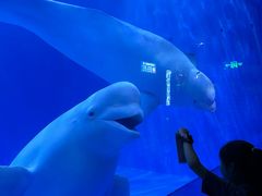 -多彩贵州城极地海洋世界