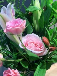 -JC·YOGA静禅瑜伽普拉提