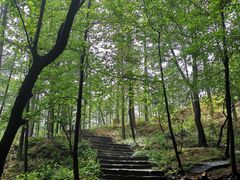 -沂蒙山旅游区云蒙景区(蒙山国家森林公园)