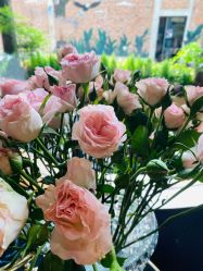 -花隐·美芙炫海菲秀皮肤管理中心