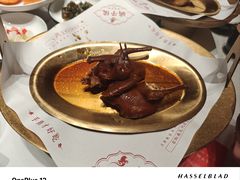 -鸽子侯·家宴·平价海鲜(绿地店)