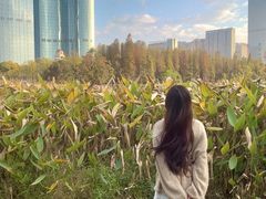 -艾溪湖湿地公园