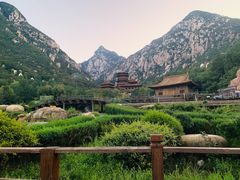 -禅宗少林·音乐大典