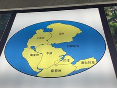 -中华赏石园