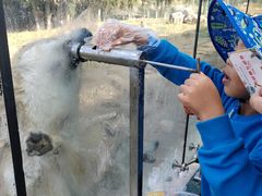 -鄂尔多斯野生动物园