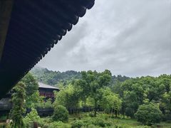 -大唐贡茶院