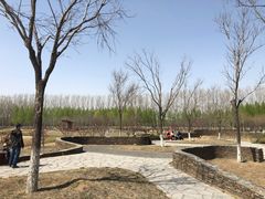 -东郊湿地公园