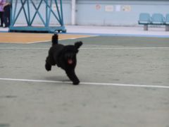 -彩虹村