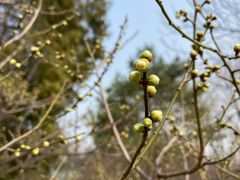 -鹫峰国家森林公园