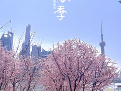 -北外滩滨江绿地