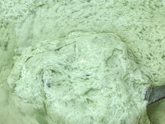 -人和水上飘(第一家店)