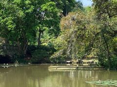 -中国科学院西双版纳热带植物园