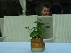 -新竹里馆·花园餐厅(兴苑路店)