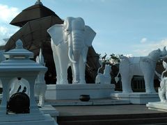 -清迈夜间动物园