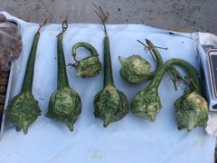 门面-天津盘山风景名胜区