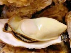 -老谭虾王蟹皇·龙虾·烧烤(蝴蝶湾店)