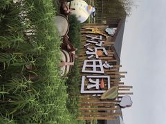 -黄龙溪欢乐田园