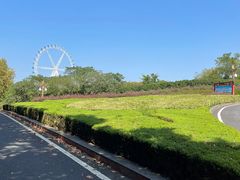 -宜兴龙背山森林公园