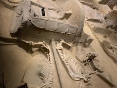 -洛阳周王城天子驾六博物馆