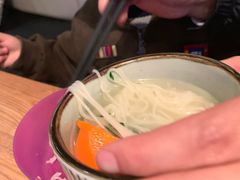 -MR鹅外