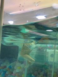 -海豚啵啵体智能游泳馆(惠山万达广场店)