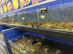 -明记海鲜大排档(巽寮湾店)
