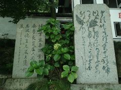 -严子陵钓台(富春江小三峡)
