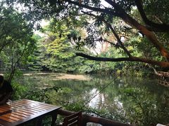 -清迈丛林飞跃 JungleFlight