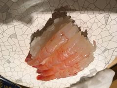 -大起水产回转寿司(道顿堀店)