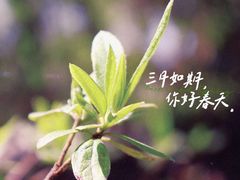 -瑶湖郊野森林公园