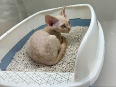 -宁波鄞州万达广场